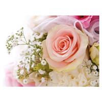 Kort Vikbara Pink rose and gypsophila 25/fp