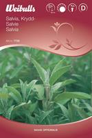 Salvia Krydd-