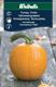 Pumpa Vinter- 'Connecticut Field' halloween-