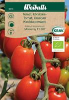 Tomat Körsbärs- 'Monterrey BIO' F1 Krav Organic