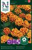 Tagetes Sammets- 'Bolero'