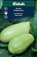 Squash 'Genovese'
