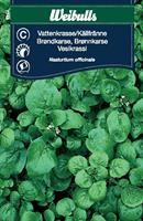 Vattenkrasse/Källfränne