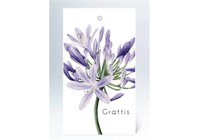 Kort SP Tags "Grattis" lila 50/fp