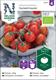Tomat Körsbärs- 'Zuckertraube' Organic