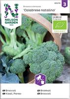 Broccoli Calabrese natalino, Organic