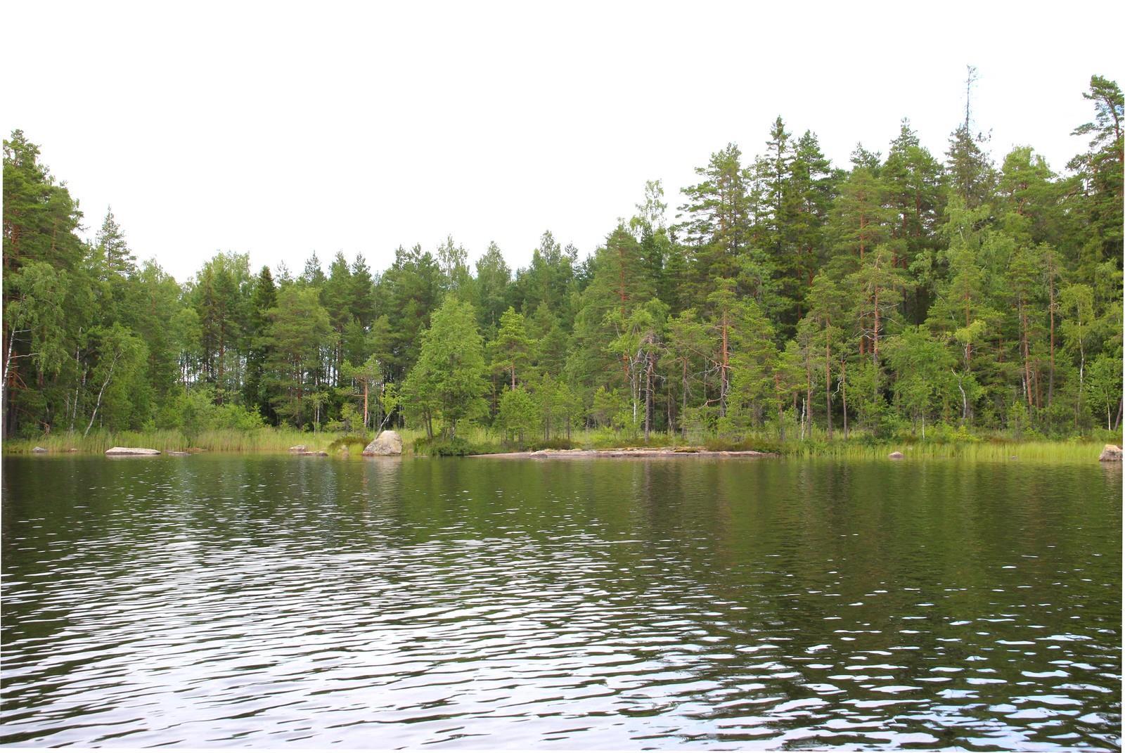 Valkjärvi takajärvi Heinäkuu 2020 (1)