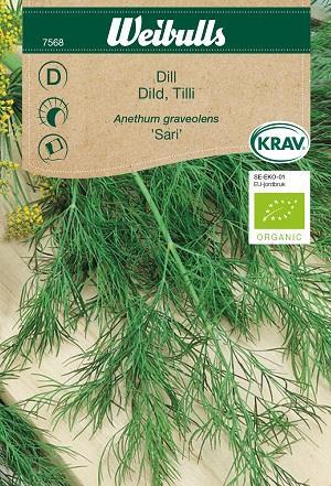 Dill 'Sari' KRAV Organic