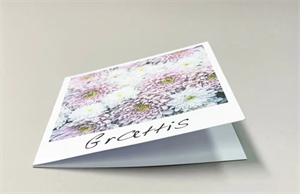 Kort SP 12,5x12,5cm Grattis kuvert 10/fp