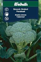 Broccoli 'Calabrese'