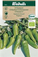 Chilipeppar 'Padron' KRAV Organic
