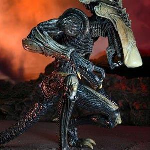 Alien vs Predator, Chrysalis Alien