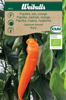 Paprika 'Kyra' söt orange Krav Organic