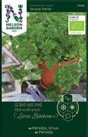 Persilja Krus 'Grüne Perle' Organic