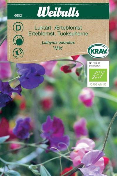 Luktärt 'Mix' Krav Organic