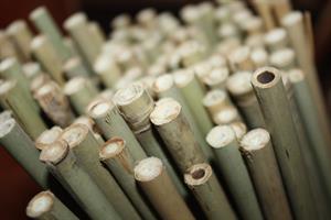 Pinnar Bambu olika storlekar