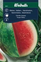 Melon vattenmelon