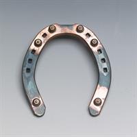 Baksko brodd 18x6-2L