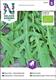 Rucola/Sandsenap Vild rucola, Organic
