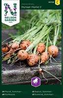 Morot sommar-, Pariser Markt,