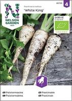 Palsternacka 'White King' Organic