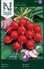 Rädisa Cherry Belle, rund