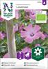 Malva Sommar Loveliness, Organic
