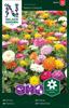 Zinnia 'Takii's Choice'