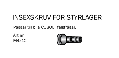 Insexskruv M4x12mm till falsfräsar