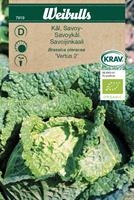 Kål Savoy- 'Vertus 2' KRAV Organic