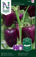 Paprika Snack- 'Snacking Purple'