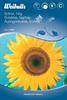 Solros uniflorus