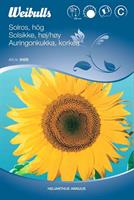Solros uniflorus