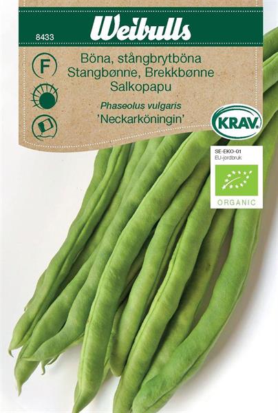 Böna Stångbryt- 'Neckarkönigin' Krav Organic