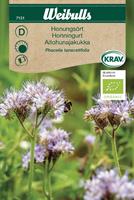 Gröngödsling Honungsört KRAV Organic
