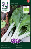 Mangold 'White Silver 3' Organic