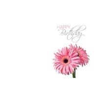 Oasis Kort Happy birthday, two pink gerbera