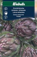 Kronärtskocka 'Violett'