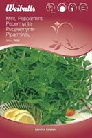 Mint, pepparmint