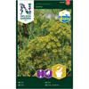 Dill, Ursprung Sverige