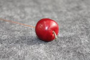 Äpple mörkröd 3 cm 36/fp