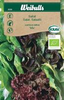 Sallat Mix Krav Organic