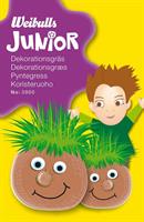 Junior dekorationsgräs