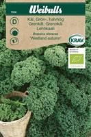 Kål Grön- 'Westland Autumn' KRAV Organic