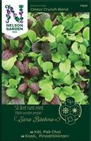 Kål Asiatisk Pak Choi 'Colour Crunch Blend'