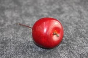 Äpple röd 2,7cm vattenfast 24/fp