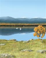 fjällsjö 50x70 cm