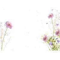 Oasis Kort lilac wild daisies