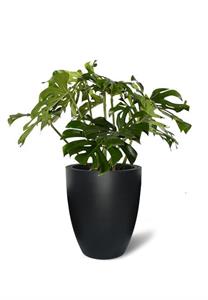 Självbev. kruka Next-up D38cm