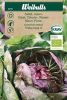 Sallat Rosen- 'Palla Rossa 3' KRAV Organic